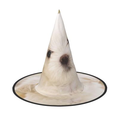 YFSGDLBN Cute Maltese Puppy Printed Halloween Witch Hat