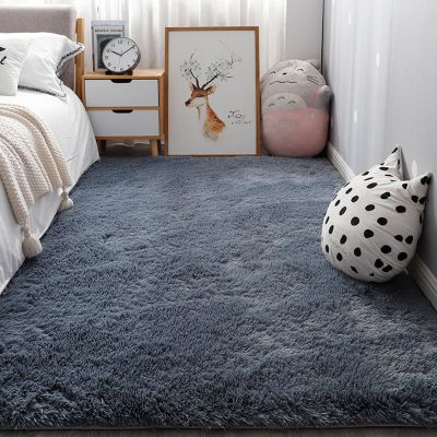 YUANWAN Gray Washable Area Rug, 65 x 120 cm, Anti-Slip Backing for Living Room and Bedroom