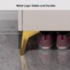 Generic Shoe Storage Cabinet for Entryways, Narrow Freestanding Shoe Cabinet with Doors for Small Spaces view 4