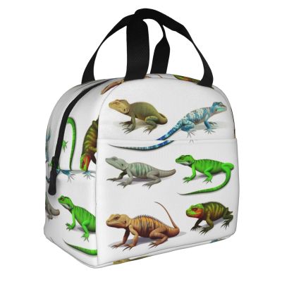 Insulated Lunch Bag for Women and Men, Various Lizard Designs