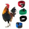 Hxyxbnhno Reusable Rooster Collars, Multicolor, 2-Pack view 2