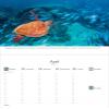 The World's Natural Heritage 2025 Desk Calendar – Kunth Publishing – Spiral-Bound Flip Calendar, Weekly Planner, 24 x 17.5 cm view 2