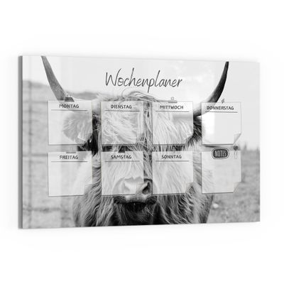 DEQORI Glass Magnetic Board | 90 x 60 cm | NP Cattle (DE) Design | Glass Memo Board with Magnets, Marker & Cloth | Magnetic & Writable