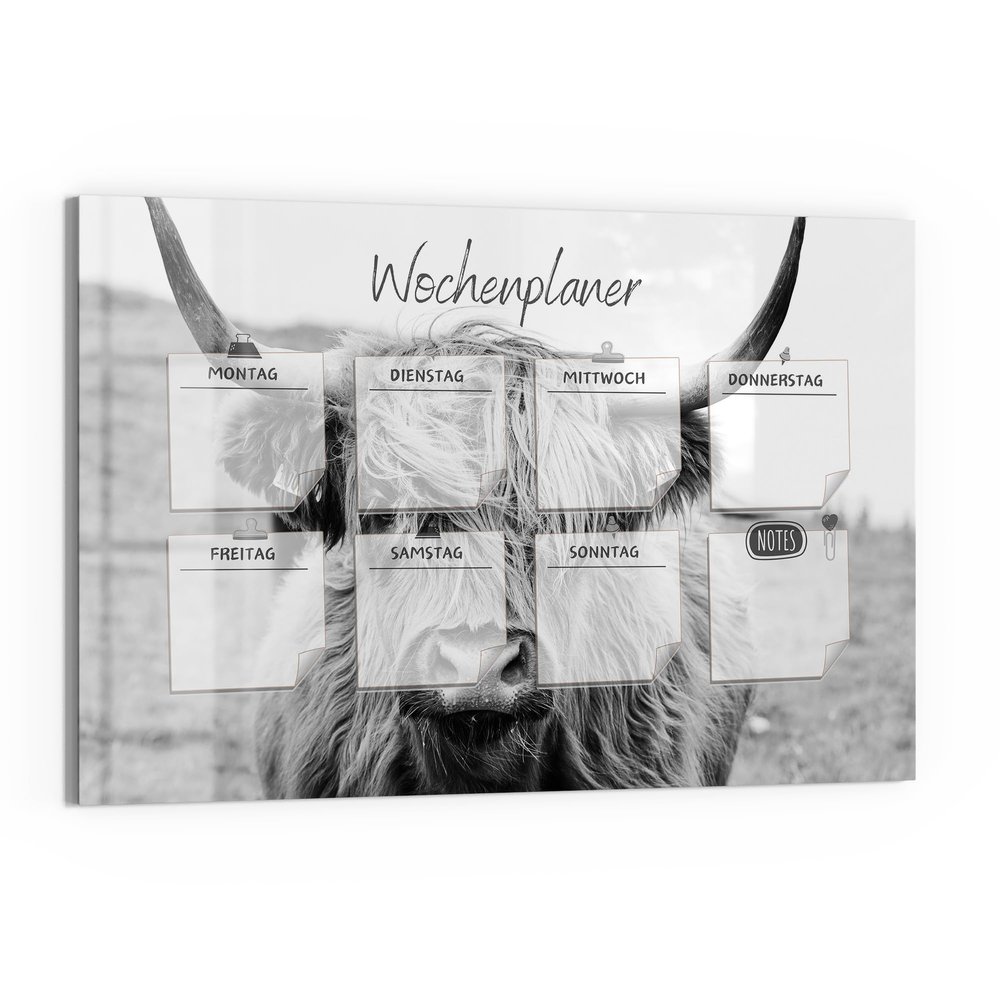 DEQORI Glass Magnetic Board | 90 x 60 cm | NP Cattle (DE) Design | Glass Memo Board with Magnets, Marker & Cloth | Magnetic & Writable