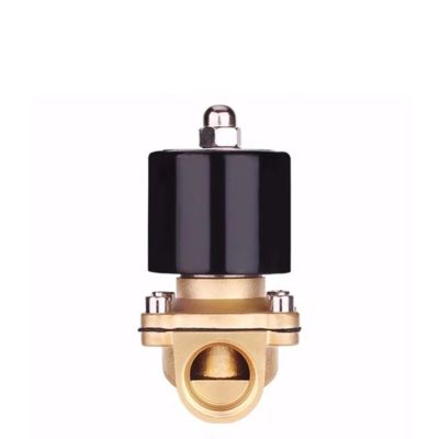 GVEXLUOQ Normally Closed Electric Brass Solenoid Valve DN8–DN25, for Water/Air, 12V/24V/220V/110V (12V-3A-CHINA, DN08)