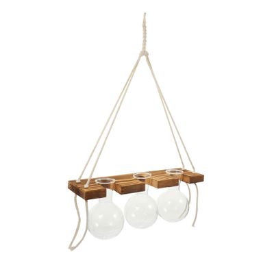 Modern Wall-Mounted Glass Planter for Hydroponics, 1 Set