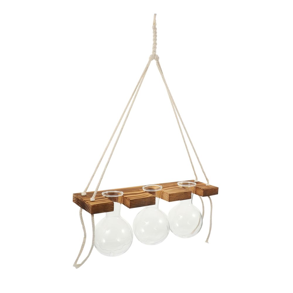 Modern Wall-Mounted Glass Planter for Hydroponics, 1 Set