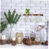 Modern Wall-Mounted Glass Planter for Hydroponics, 1 Set view 4
