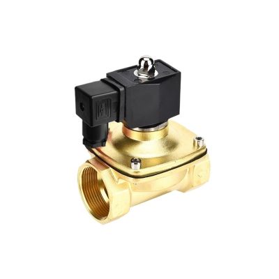 1-1/4 in Brass Normally Closed Solenoid Water Valve, 220 V, IP65