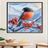 Winter Bird Paint by Numbers Kit, 50 x 65 cm, Unframed view 4