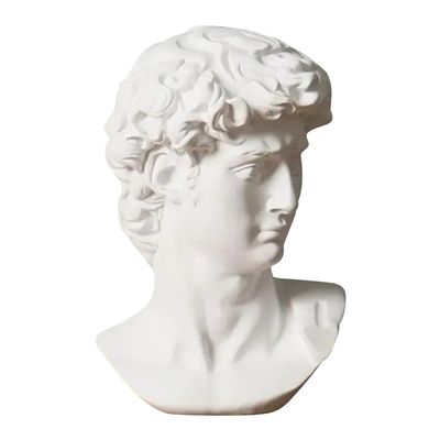 Cozylkx White Resin Portrait Sculpture, Roman Bust Figurine for Desk and Bookshelf Decor
