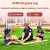 Artificial Turf Dog Mat for Patio and Garden view 2
