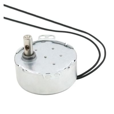 49KTYZ Permanent-Magnet Synchronous AC Electronic Starter, 220 V, 4 W