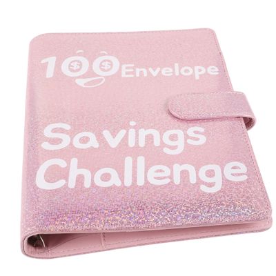 100-Day Pink Plastic Savings Binder with Envelopes