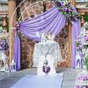 ROMDANTY 3/6/10 m Wedding Arch Chiffon Draping Fabric, Champagne view 4