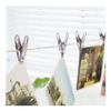 HTFKFW Clothespins for Clothesline, 40-Piece Stainless Steel Clips for Clothes, Photos and Paper view 3