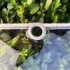 ZHUOZ1T Transparent PVC Tarp with Grommets, Weather-Resistant, 1 m x 3 m view 4