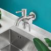 Stainless Steel Garden Faucet with Dual Outlets view 2