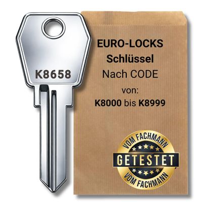bayesen Replacement Key for Euro-Locks K8000–K8999, Key K8118