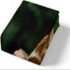 TACOKI 3D Guinea Pig Fitted Sheet 140 x 200 cm with 2 Pillowcases view 3