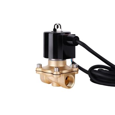 1/2 in IP68 Waterproof DN15 Solenoid Valve for Underwater Use, 110/24/12 V, Viton Seal
