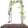 HSWOYEA Metal Garden Arch for Climbing Plants and Roses view 1