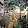 HSWOYEA Metal Garden Arch for Climbing Plants and Roses view 2