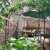 HSWOYEA Metal Garden Arch for Climbing Plants and Roses view 4