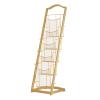 Floor-Standing Literature and Magazine Stand, 4/5-Tier Iron Brochure Rack, Black view 1