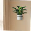 Sosoport 2-Piece Black Iron Wall-Mounted Plant Holder view 4