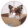 Christmas Tree Skirt, 30 in, Papillon in the Box view 1