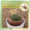 Supvox 5 Sets Wooden Plant Labels, Garden Markers, 30 Pieces Each view 3