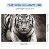 JEKYQ Beach Towel, Quick-Drying Black-and-White Tiger Print, Lightweight Travel Towel, 137.2 x 78.7 cm view 2