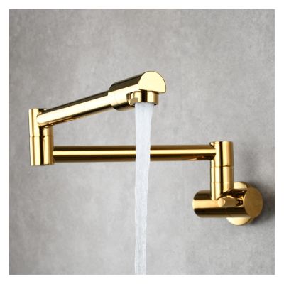IUokLU Brass Pot Filler Faucet, 360° Swivel and Foldable, Wall-Mounted Cold-Water Faucet