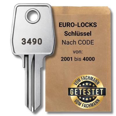 bayesen Replacement Key for Euro-Locks, Precisely Cut, Code 2521