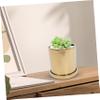 VINTORKY Electroplated Ceramic Flower Pot for Succulents and Cacti with Drainage Hole and Saucer view 3