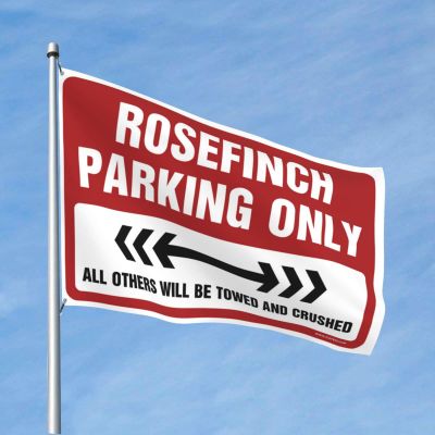 Funny Flags for Rooms, Teenagers, Girls, Rose Finches, Parking Lots and Patios, Accessories (152 x 244 cm)