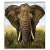SMTDeco Stove Cover 45 x 52 cm, Tempered Glass, Scratch-Resistant and Non-Slip, Elephant Gray view 1