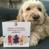 Bold & Bright Funny Christmas Cards “Mistelhoes,” Cheeky Seasonal Christmas Cards for Women and Friends, Festive Humor view 3