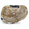 XXL Petrified Wood Vessel Sink, Variant 35 view 2