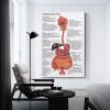 Anthropology Digestive System Poster, Canvas Wall Art, 40 x 60 cm view 3