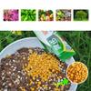 BOGEEL 10 g Slow-Release Plant Food Granules for Home view 2