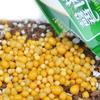 BOGEEL 10 g Slow-Release Plant Food Granules for Home view 3