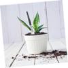 Happyyami 8-Piece Garden Tool Set for Succulents and Bonsai view 4