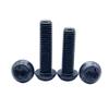 NUZBCPETR Steel Torx Screws with Pan Head (M10 x 1.5 x 25 mm) view 1