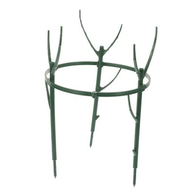 MUSISALY 200 cm Plant Trellis, Plant Support for Orchids and Houseplants, Sturdy PP Stake with Removable Design for Indoor and Outdoor Use