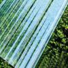 Fiberglass Roofing Panels, UV Protection, Rainproof, Daylighting, 35 x 28 in, 3-Pack view 4