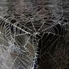 DecoHomeTextil Halloween Spider Web Oilcloth Tablecloth, Rectangular, 120 x 80 cm, Wipeable view 1