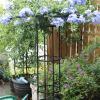Outdoor Trellis, Umbrella-Shaped Plant Support for Climbing Plants, Ideal for Flowers, Vegetables, and Vines, Indoor and Outdoor Use view 2