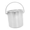 PRETYZOOM Food-Safe, Leakproof Stainless Steel Milk Bucket with Lid and Handle, Large Capacity view 1